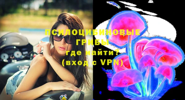 ALPHA PVP Алексин