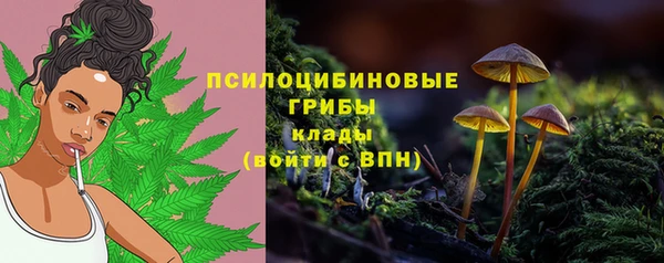 гидропоника Алексеевка