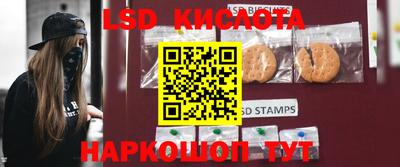 PSILOCYBIN Обнинск