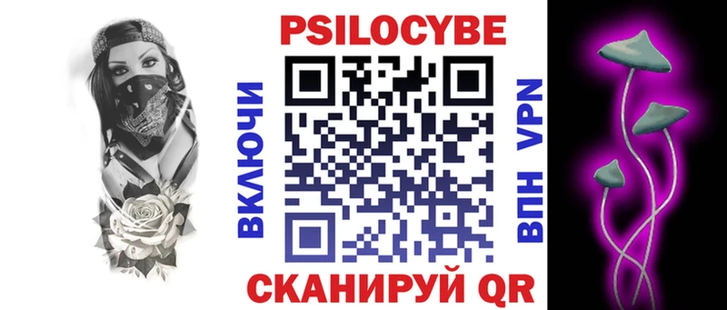 Псилоцибиновые грибы Psilocybe  Тавда 