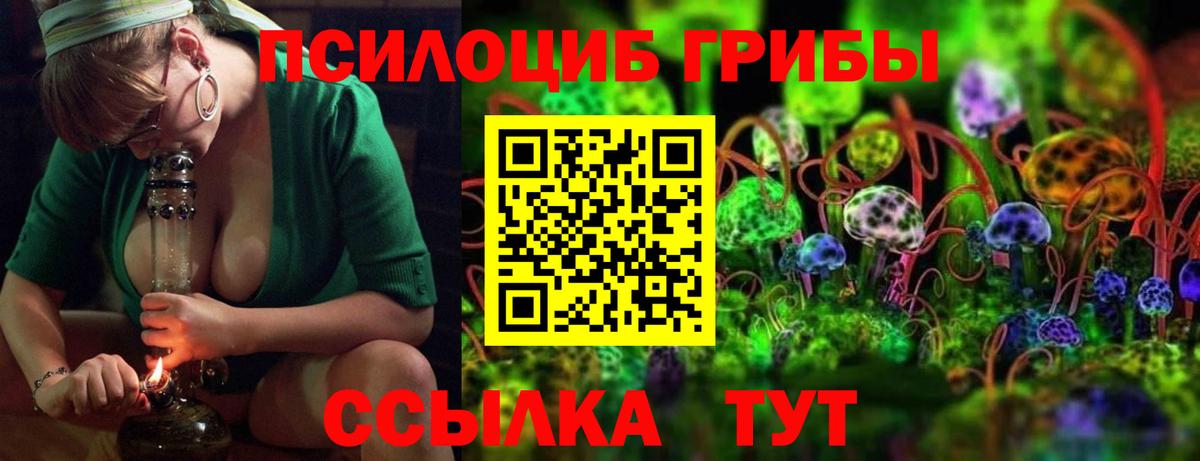 Тавда  Псилоцибиновые грибы Cubensis  где купить   Вход с VPN 